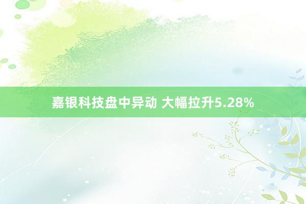 嘉银科技盘中异动 大幅拉升5.28%