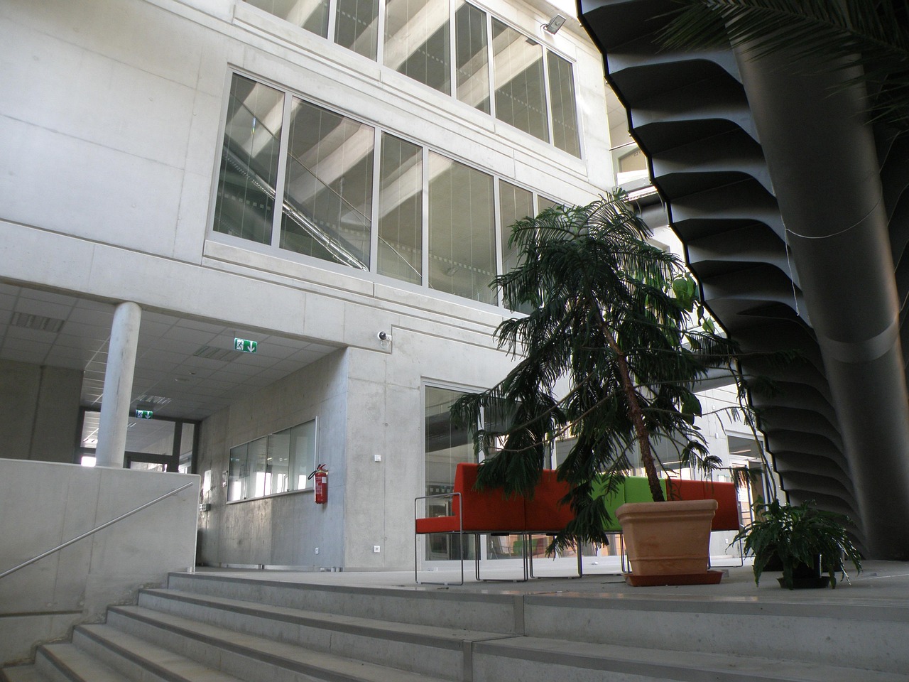 东北大学的详细情况,东北大学是一所怎样的大学