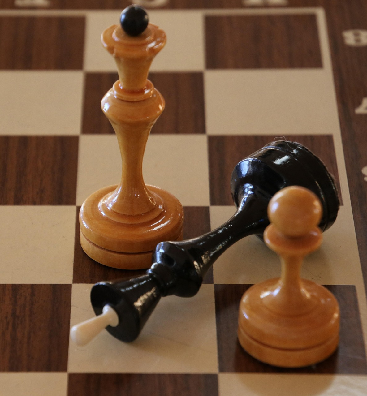 安装程序教程“斗棋有没有挂”(曝光透视必备猫腻)