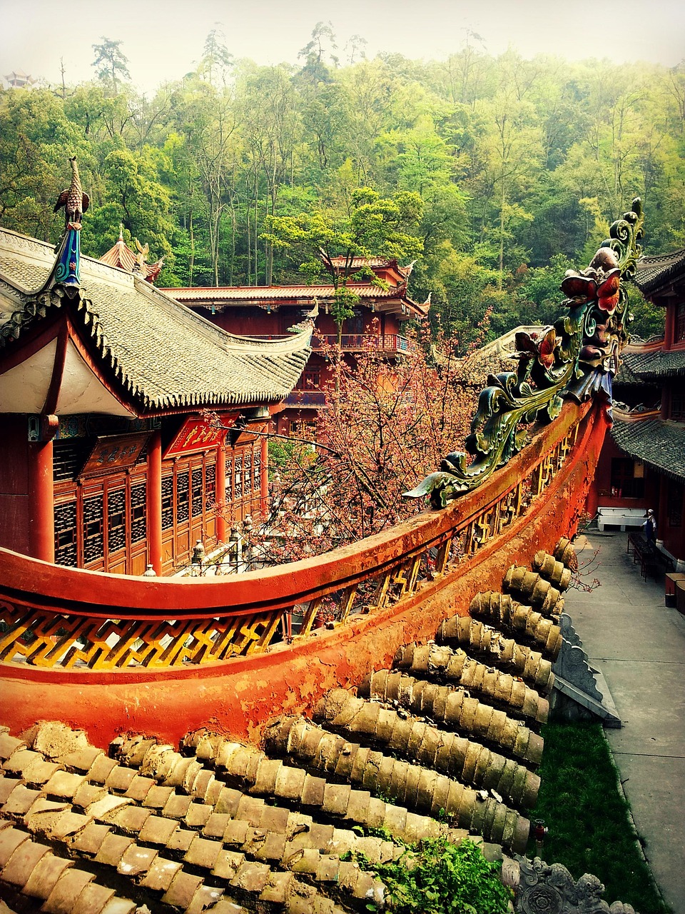 北京香山几月份有红叶景点︰(北京香山什么时候看红叶比较好) 北京香山几月份有红叶景点︰(北京香山什么时候看红叶比较好)